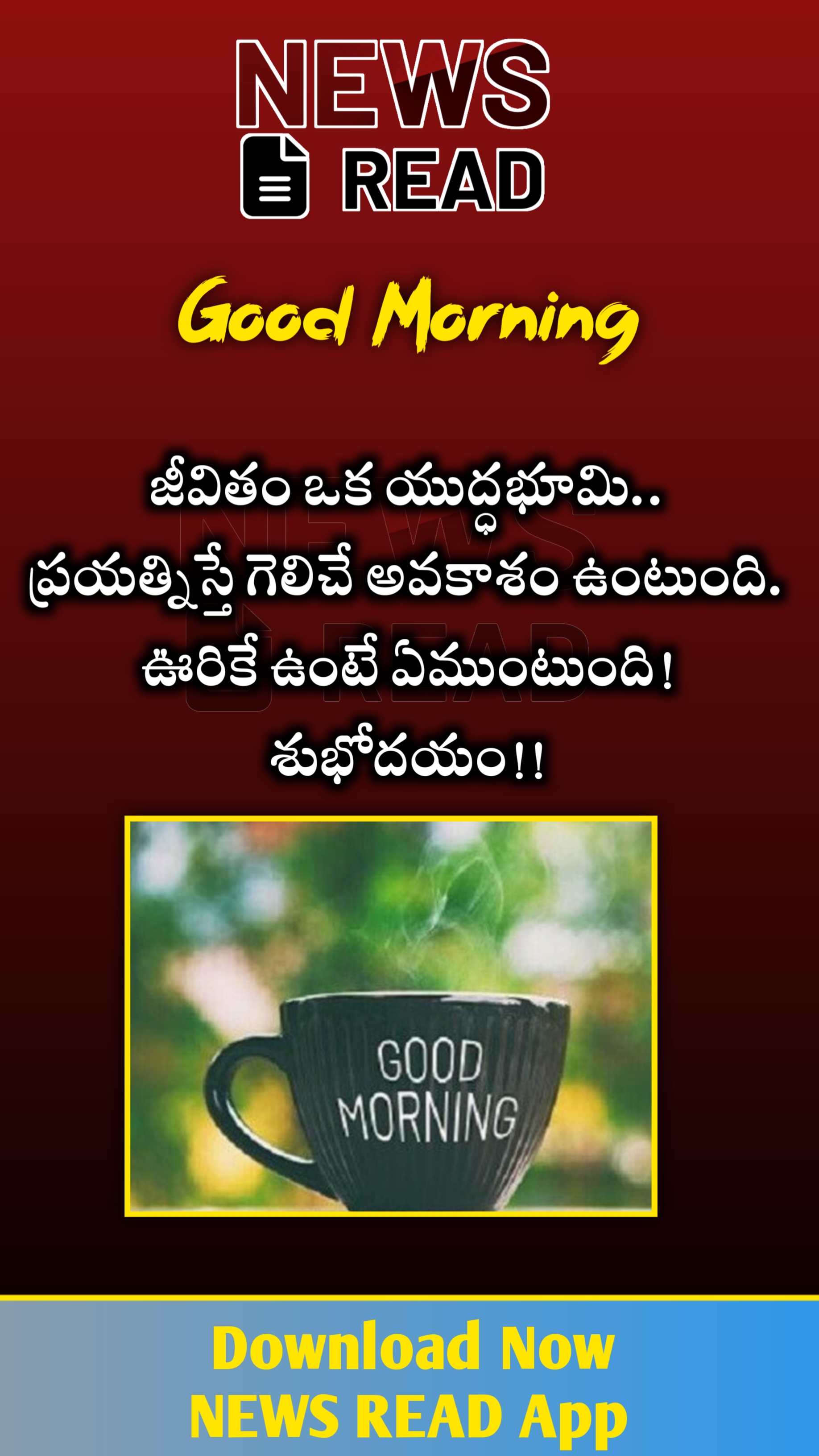 Newsread Image